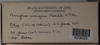 Image Associated With the Occurence